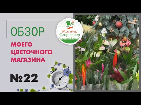 Видео: #22 Обзор поставки комнатных растений "Мистер Флористер" | Растения для озеленения интерьера