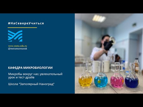 Видео: Урок 1: О важности соблюдения гигиены. Тест-драйв "Микробы вокруг нас"
