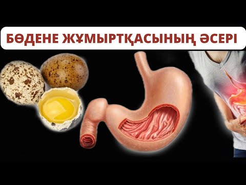 Видео: БӨДЕНЕ ЖҰМЫРТҚАСЫН КҮНДЕ ШИКІДЕЙ ІШСЕ не БОЛАДЫ? Бөдене жұмыртқасының пайдасы қандай?