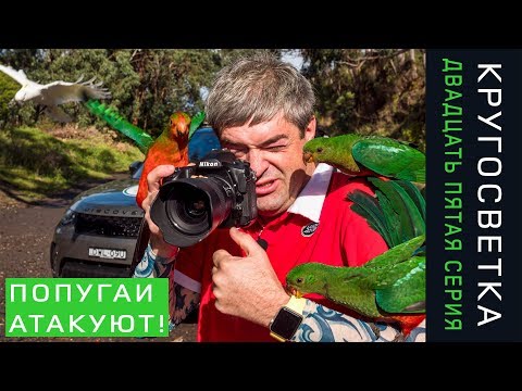 Видео: Кругосветка 25. Австралия. Самая красивая дорога в Мире!