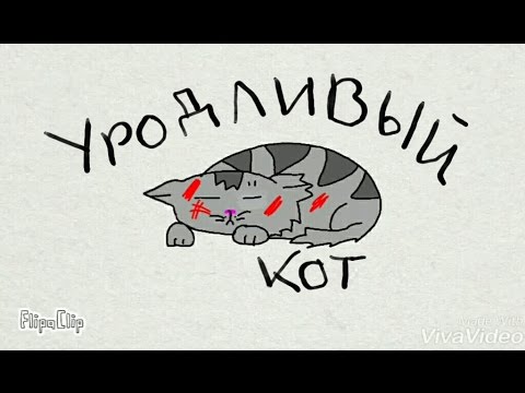 Видео: Уродливый кот