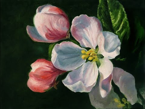 Видео: Яблоневый цвет, холст 30x40, масло