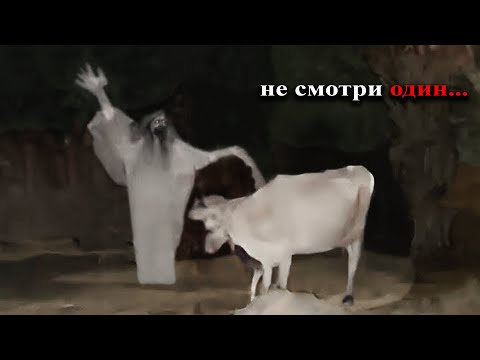 Видео: 10 Самых Страшных Видео в Мире | Новая Подборка