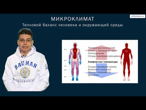 Видео: Курс БЖД. Оздоровление воздушной среды. Часть 1.