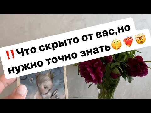 Видео: ‼️Что вам нужно знать прямо сейчас⁉️🤯🤫