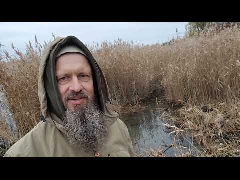 Видео: Как убрать из водоёма камыш с корнями? Надёжная технология!