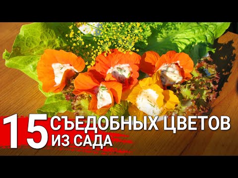 Видео: 15 съедобных цветов из сада