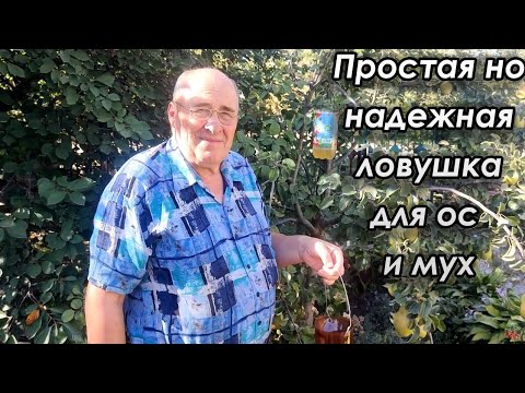 Видео: Простая но надежная ловушка для ос и мух.