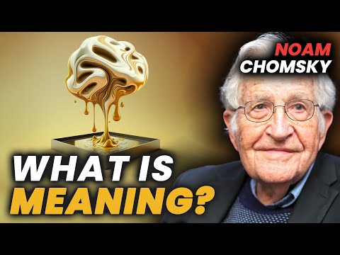 Видео: Ноам Хомский: проблема разума и тела и математический реализм
