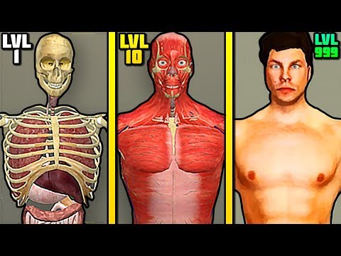 Видео: ЭВОЛЮЦИЯ ЧЕЛОВЕКА ЧТОБЫ СОБРАТЬ ОРГАНЫ И КОСТИ В ИГРЕ IDLE HUMAN!
