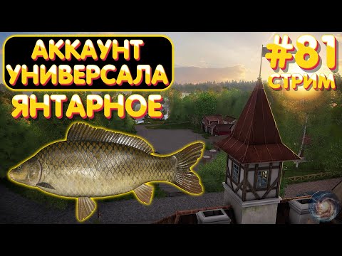 Видео: оз. Янтарное 🔥 Аккаунт универсала #81 стрим 🎁 Бокс с премом на TROVO 🎁 Русская Рыбалка 4 рр4 #1125