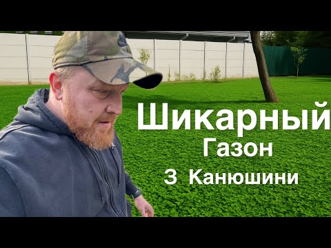 Видео: Посів #КОНЮШИНИ , як газон