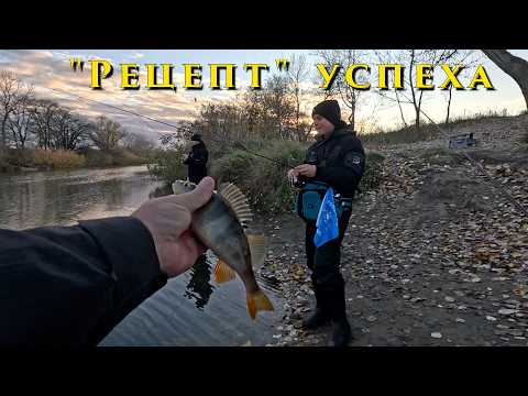 Видео: Микроджиг - "Рецепт" успеха!!!