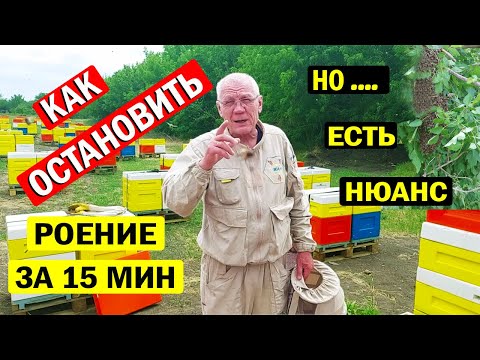 Видео: Секретная техника пчеловодов Финляндии против роения. Как остановить роение пчел за 15 минут?