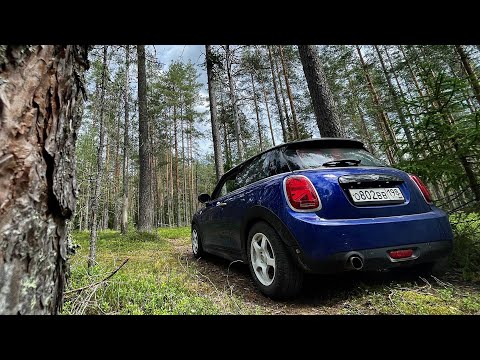 Видео: Сининг