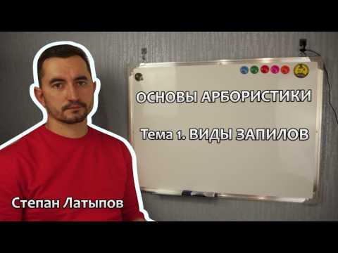 Видео: Степан Латыпов Беларбо Виды запилов ветвей и стволов - Основы арбористики. Тема 1