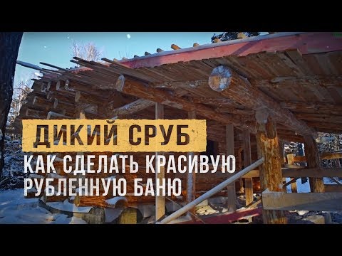 Видео: Как сделать красивую рубленную баню. Дикий сруб