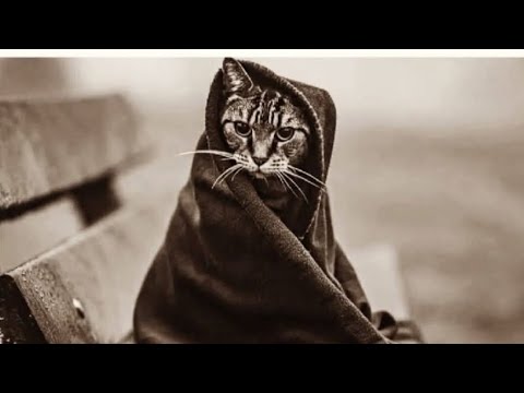 Видео: 💥 Что Он испытывает к Вам🔥🔮💯 в эту секунду ❓