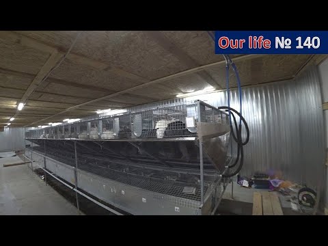 Видео: У нас переезд. Мега крольчатник в работе.