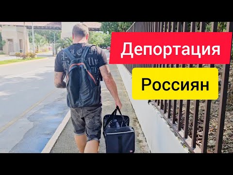 Видео: Депортация россиян, очень страшно, Нокс после операции, Трамп, опрос 