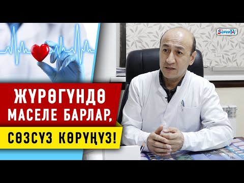 Видео: Жүрөк кан-тамыр илдеттери күнүнө 50 дөн ашык өмүрдү алууда