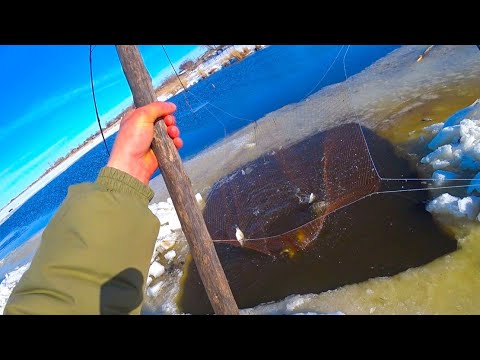 Видео: ПОШЛА ЖАРА!!! РЫБАЛКА НА ПАУК ПОДЪËМНИК СО ЛЬДА В СИБИРСКОЙ ДЕРЕВНЕ. ВЕСНА ПРИШЛА - РЫБА ПОШЛА