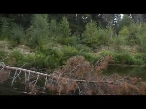 Видео: Река Колынва