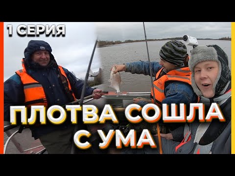 Видео: 3 КГ ПРИКОРМКИ И ПЛОТВА СХОДИТ С УМА!