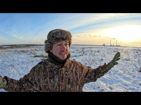 Видео: Дневник Деда-Мороза. 1 января 2024 г.