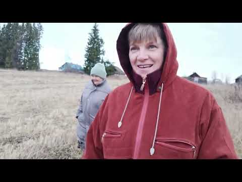 Видео: Готовлю салат, с колодцем беда.