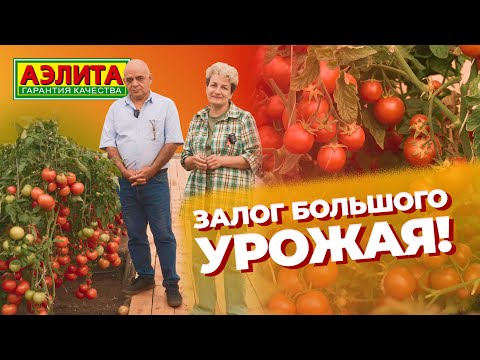 Видео: Залог большого урожая репортаж из Арзамаса