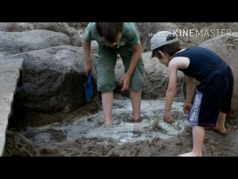 Видео: Туулган жерди сагынам