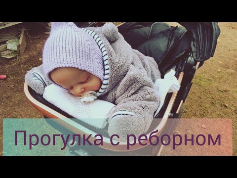 Видео: Прогулка с реборном в коляске 😊