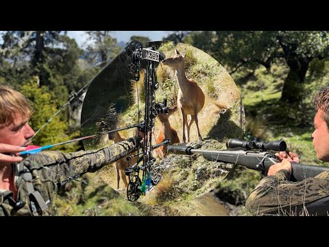 Видео: Охота с винтовкой и луком в Кайкоуре - животные повсюду!!