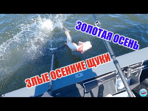 Видео: Злые щуки! Осенняя рыбалка на реке Ока