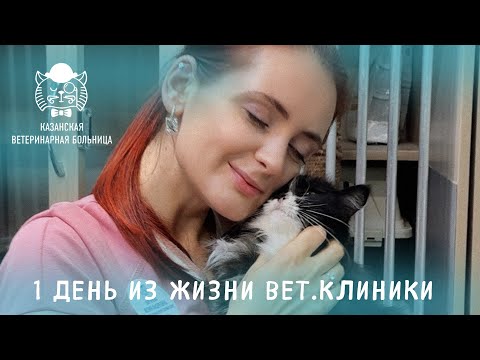 Видео: Один день из жизни вет.клиники 🐱🐩