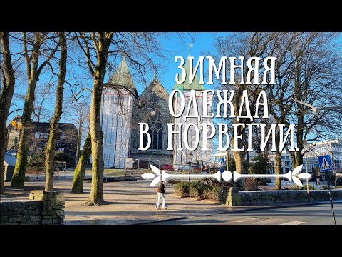 Видео: Холод, шубы и экоактивисты в Норвегии. Шорты и шерсть в норвежские морозы.