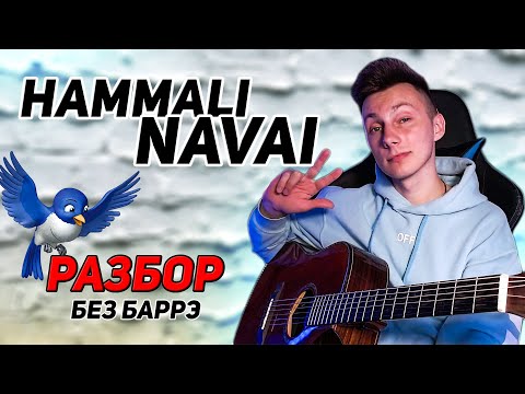 Видео: РАЗБОР на гитаре Птичка - Hammali Navai (БЕЗ баррэ)