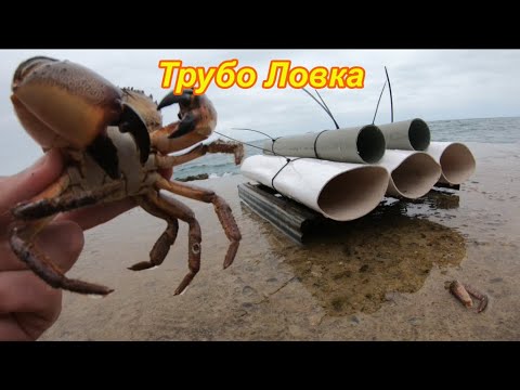 Видео: Труба Ловка . Ловля краба на трубу. Черное море.  Абхазия