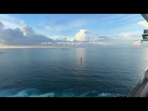 Видео: 🔴 момент в океане 🔴  чудо остров Ocean Cay Bahamas MSC SEASHORE 08.09.2025
