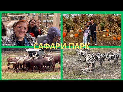 Видео: САФАРИ ПАРК / ВЕСЁЛАЯ ПРОГУЛКА С ДРУЗЬЯМИ