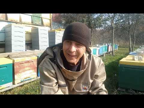 Видео: Итоги крайней обработки от клеща в 2025 году