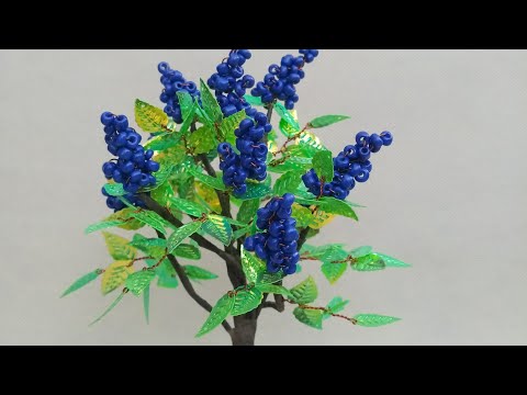 Видео: Куст сирени