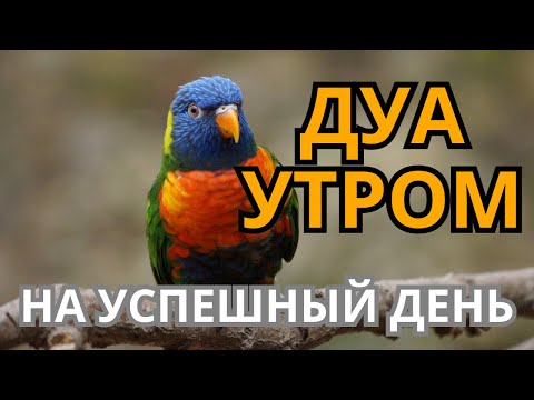Видео: ДУА УТРОМ САМЫЙ МОЩНЫЙ СТАРТ ДНЯ! 🤲☀️