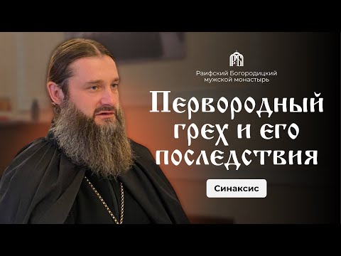 Видео: "О грехопадении и его последствиях" Игумен Гавриил ( Рожнов).