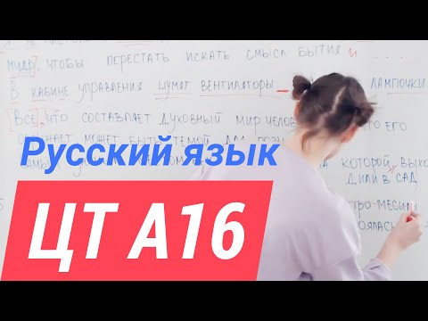 Видео: ЦТ А16.  Пунктуация