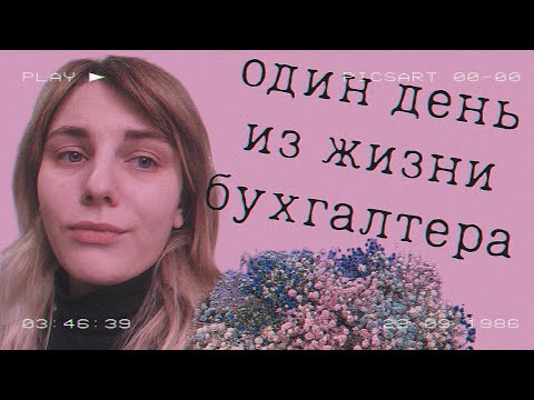 Видео: один день из жизни бухгалтера / VLOG:  кабинет | про макияж | моя собачка