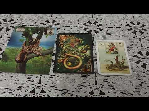 Видео: 🐍 ЗМЕЯ -Финансы,работа,отношения/основные значения карты 💞