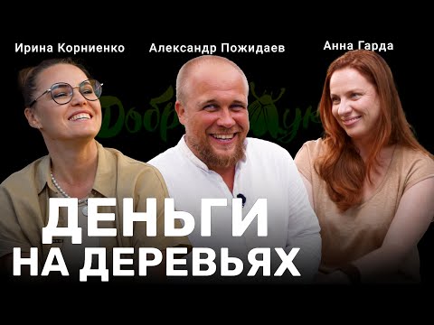Видео: Питомник декоративных растений. Коллекция бонсай. Жизнь и бизнес ботаников