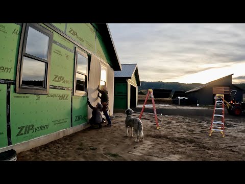 Видео: УСТАНОВЛЕНЫ ПЕРВЫЕ ЛИСТЫ САЙДИНГА И НАШ ПЕРВЫЙ САМЕЦ БЕЛОХВОСТОЙ ОЛЕНЬ ИЗ АЙДАХО